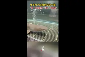 女子水产店拍到罕见一幕，“第一次见鲨鱼'下崽'很震惊”图片