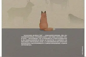 人类的出现，让几乎所有动物都措手不及图片