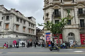 “外滩猫街”背后的艺术家Tango：猫是能疗愈人心的宠物图片