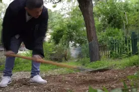 李亚鹏种菜被叫停，自家院子不等于“自留地” | 新京报快评图片