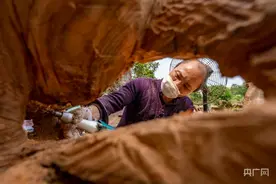 高手在民间！艺术“青年”痴迷根雕三十载图片