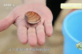 它被誉为“天下第一鲜”，吃它还能提高免疫力！图片