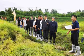 “中国杂交油菜之父”傅廷栋院士在武汉市蔡甸区调研考察油菜多功能利用发展项目图片