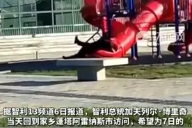 智利总统玩滑梯被卡住：“窘迫”视频在社交平台上被疯转图片