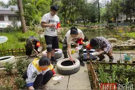 废弃轮胎装点花坛，创意彩绘扮靓社区图片