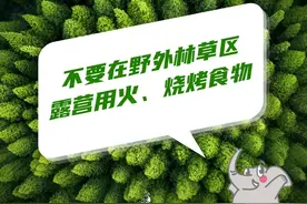 【民生】云南这些老年人每人每月可领不少于50元补贴图片