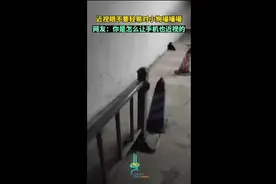 近视眼不要轻易对小狗嘬嘬嘬，网友：你是怎么让手机也近视的图片