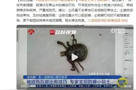 又到活跃期，严重时或致命！青岛疾控提醒……图片