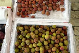 荔枝“抢鲜”上市，贵的68元/斤图片