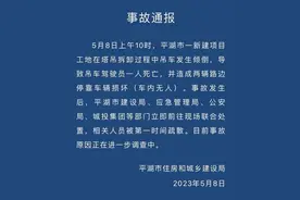 浙江平湖一工地吊车倾倒致驾驶员死亡，路边两车损坏图片