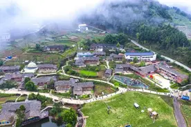 四川平昌 ：艺术开道 赋能乡村振兴图片