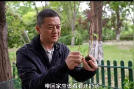 封面深镜｜李亚鹏在自家别墅小院种菜有错吗？律师：物业做法具有事实和法律依据图片