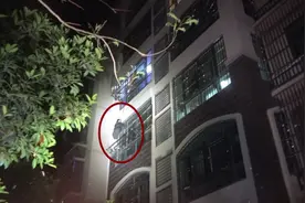 女子“空降”回家，不料被困窗外……图片
