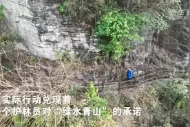 李健：用脚步丈量大山 守护好一方青绿图片