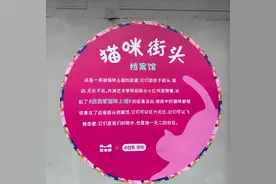 大型猫咪“跃然墙上”！上海老城厢热闹非凡图片