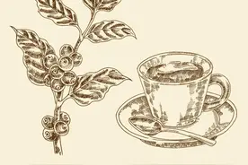 这 9 类人要少喝咖啡！图片