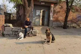 青未了/与狗有关的乡村生活回忆图片