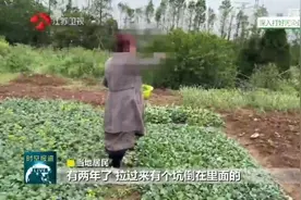 镇江市丹徒区多个非法固废倾倒点污染严重图片