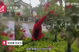 大妈几乎把一整条绿化带的花摘光，装了半编织袋，自称为了做花蜜，城管：会巡查处理图片