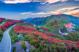 网友实拍丨永州阳明山最美花季之人间仙境落凡尘图片
