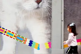 外滩这条老街被萌猫“攻占”了图片