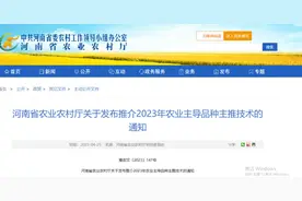 “百农307”入选河南省2023年农业主导品种图片