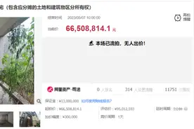 原房主曾遭央视纪录片点名！9500万顶级豪宅，打7折也没人买？图片