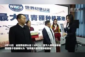 新华全媒+丨西藏隆子县被认证为世界最大黑青稞种植基地图片