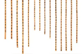 黑格尔为何只夸老子？如何评价古代的“人文宇宙”?图片