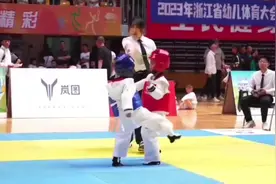 400个幼儿园萌娃参加跆拳道比赛什么样？画风又萌又猛图片