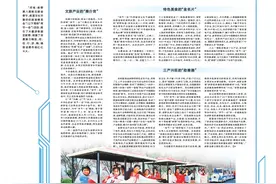 美豫名品｜新野：打造“两节一会”品牌盛宴图片