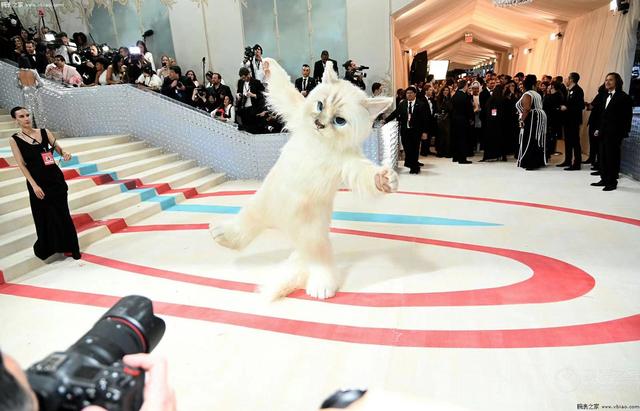 Met Gala�ⳡʱ��ʢ�� ������Щ������ࣿ