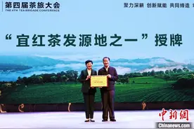 专家学者湖北五峰共研中国茶旅融合发展图片
