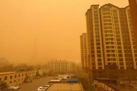 在流量宇宙里寻找消失的儿子图片