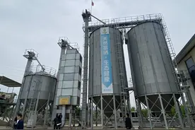 淄川农业承载“硒”望展翅飞图片