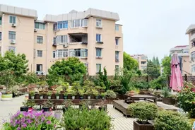 一年四季花开满园，这里的“屋顶花园”热闹非凡图片