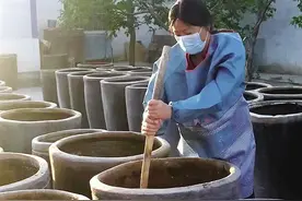 金塔农妇吕桂琳——传统手工醋 “酿”出致富路图片