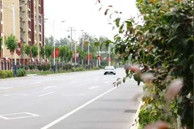 滨州沾化：改善市民出行环境 助力文明城市创建图片
