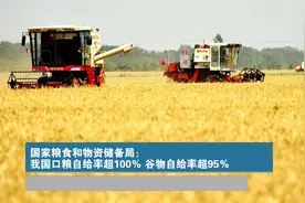 国家粮食和物资储备局：我国口粮自给率超100％ 谷物自给率超95％图片
