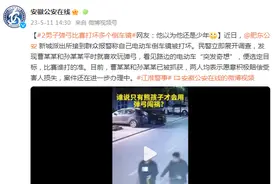 “突发奇想”？两男子玩弹弓打坏多个倒车镜图片
