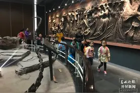 系列活动超精彩！中科院昆明动物研究所公众科学日等你来→图片