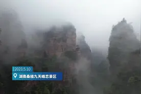 老鹰抓小“机”？湖南一景区出现猛禽红隼 飞行中无人机被“带”走图片