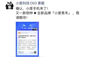 百度也要造手机！“小度青禾”月底上市图片