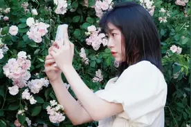 氛围感拉满！初夏的花海是什么样？贵州拿捏住了图片