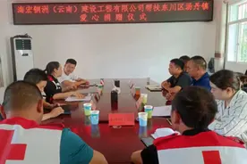 海宏公司爱心捐赠助推东川区汤丹镇乡村振兴图片