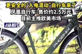 更安全的“人电混动”自行车来了，凤凰自行车：售价约2.5万元，目前主推欧美市场图片