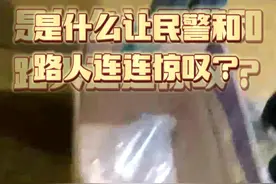 收留刺猬一晚，结果生了7胞胎！民警暖心为其找“新家”图片
