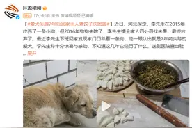 狗狗失踪7年后回家主人煮饺子庆团圆 十分惊喜与感动图片