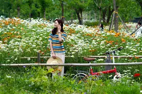 连续7天最高气温达30℃以上，郑州或将今日入夏图片