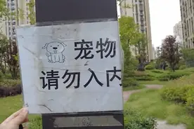 上海儿童被打最新后续：遛狗打人者已被刑拘视频封面